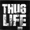 2Pac Lyrics for thug life